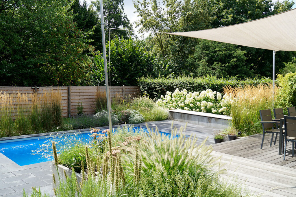 Moderner Garten mit rechteckigem Pool, Holzdeck und Essbereich im Freien. Üppige Bepflanzung aus Gräsern, Sträuchern und weißen Blüten vermittelt Gartenideen für eine professionelle Gartenplanung oder Pflanzplanung im Münsterland, z.B. in Bocholt.