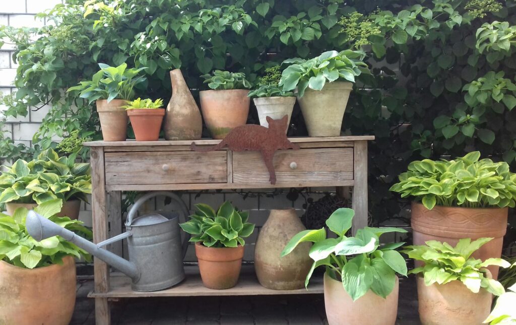 Ein rustikaler Holztisch präsentiert dekorative Pflanztöpfe und Vasen, ergänzt durch ein Metallkatzen-Element. Üppige, große Blattpflanzen in Terrakotta-Töpfen sowie eine Gießkanne veranschaulichen durchdachte Gartenplanung im Münsterland.
