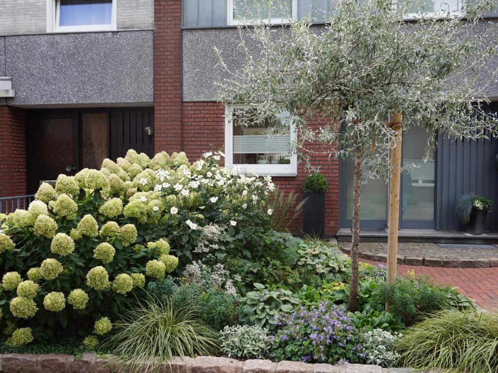 Individuell geplante, professionell gestaltete Vorgartenanlage mit kleinem Baum, blühenden Sträuchern, Ziergräsern sowie grün-weißer Blütenmischung vor modernem Haus - ideal für Gartenplanung und Pflanzplanung im Raum Bocholt und Kreis Borken.