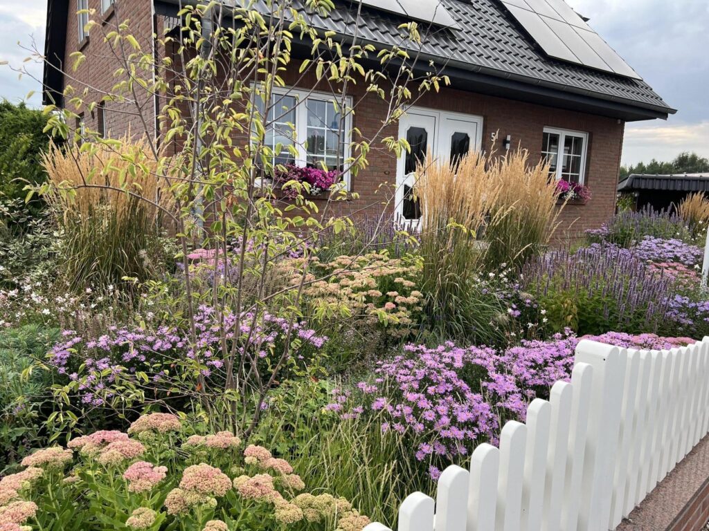 Ein Backsteinhaus mit Solarpanels und weißen Türen steht inmitten eines dicht bepflanzten Gartens mit hohen Gräsern sowie rosafarbenen und violetten Blüten. Ein weißer Gartenzaun bietet die ideale Kulisse für professionelle Gartenplanung, Pflanzplanung oder ein durchdachtes Bepflanzungskonzept - perfekt für alle, die ihren Garten neu gestalten lassen möchten, etwa in Bocholt, Kreis Borken oder dem Münsterland.