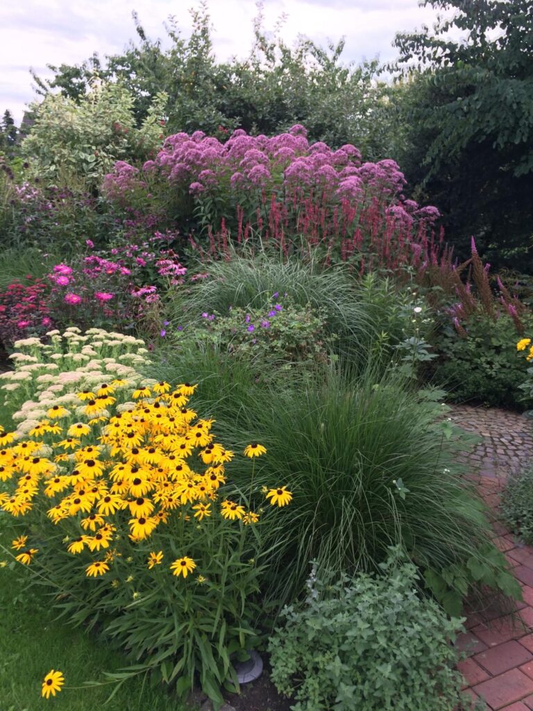Ein liebevoll gestalteter Garten mit gelben, pinken und lila Blüten, umgeben von dichter Begrünung und hohen Gräsern entlang eines geschwungenen Steinwegs - Beispiel für professionelle Gartenplanung und Pflanzplanung im Münsterland.