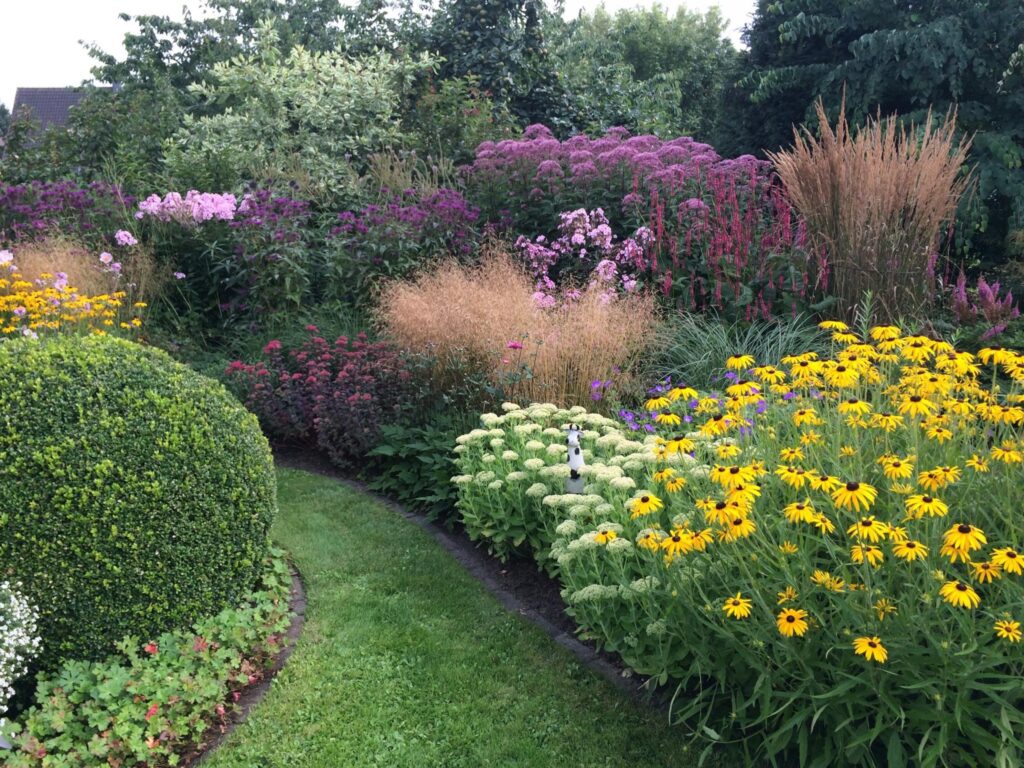 Ein geschwungener Rasenweg führt durch einen üppigen Garten mit blühenden gelben, pinken und violetten Blumen, hohen Gräsern und dichten Sträuchern - das Ergebnis professioneller Gartenplanung und Pflanzplanung für Ihr Gartenprojekt in Bocholt, Kreis Borken oder Münsterland.
