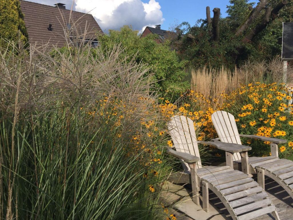 Zwei bequeme Holzliegen stehen auf einer Terrasse, umgeben von hohen Ziergräsern und gelben Blüten - das Ergebnis einer professionellen Gartenplanung und Pflanzplanung im Kreis Borken bei Bocholt. Im Hintergrund Häuser im Münsterland.