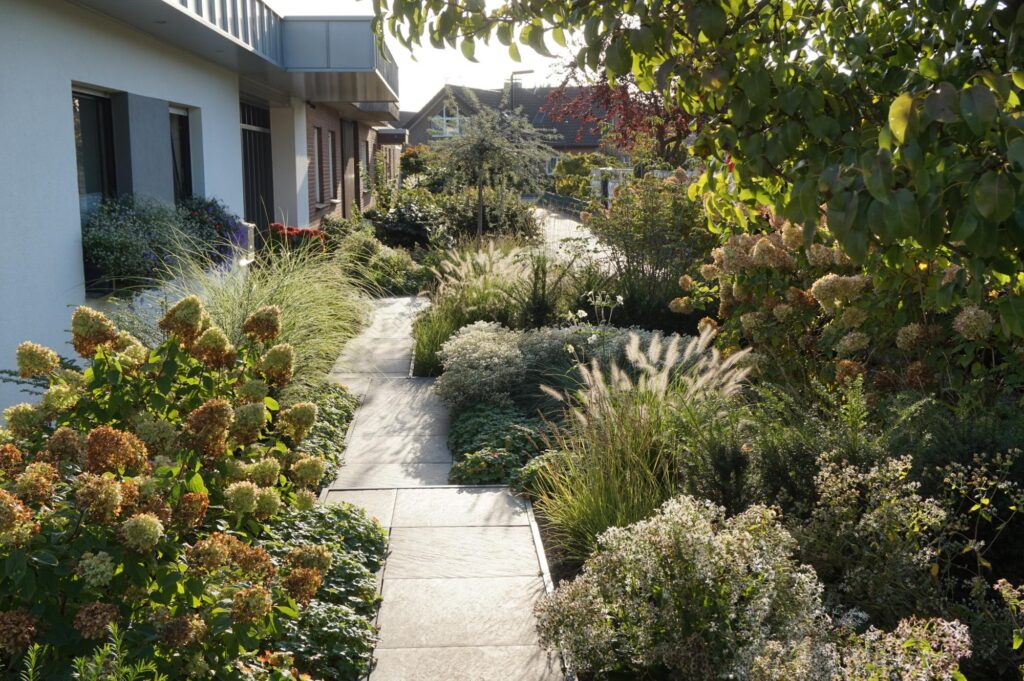 Ein sonniger Garten mit üppig grünen Pflanzen und blühenden Sträuchern säumt einen gepflasterten Weg neben einem modernen Gebäude mit großen Fenstern. Bäume und Gehölze schaffen eine einladende Atmosphäre - ideal für professionelle Gartenplanung im Münsterland, Bocholt oder Kreis Borken.