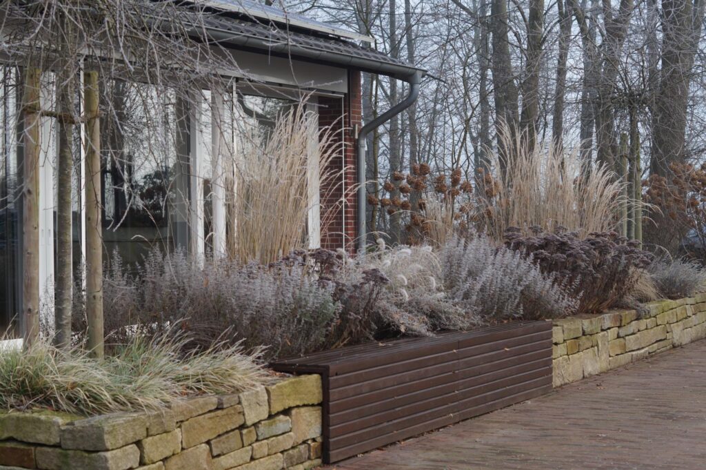 Erhöhter Gartenbereich mit Gräsern und Sträuchern, ideal für Gartenplanung.