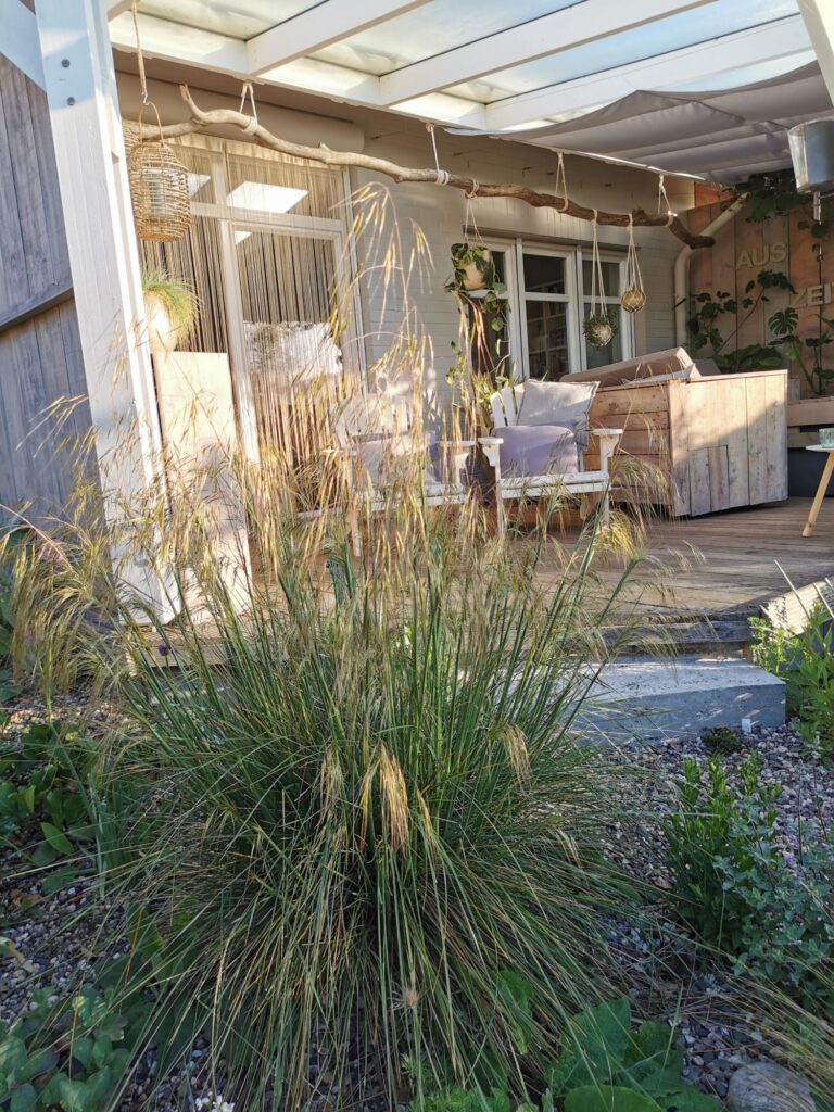 Professionelle Gartenplanung im Münsterland: Ziergras wächst im stilvoll gestalteten Garten neben einer Holzterrasse mit weißen Stühlen, hellen Kissen und Hängepflanzen. Sonnenlicht hebt die einladende Sitzgruppe hervor. Ideal für eine individuelle Pflanzplanung im Garten.