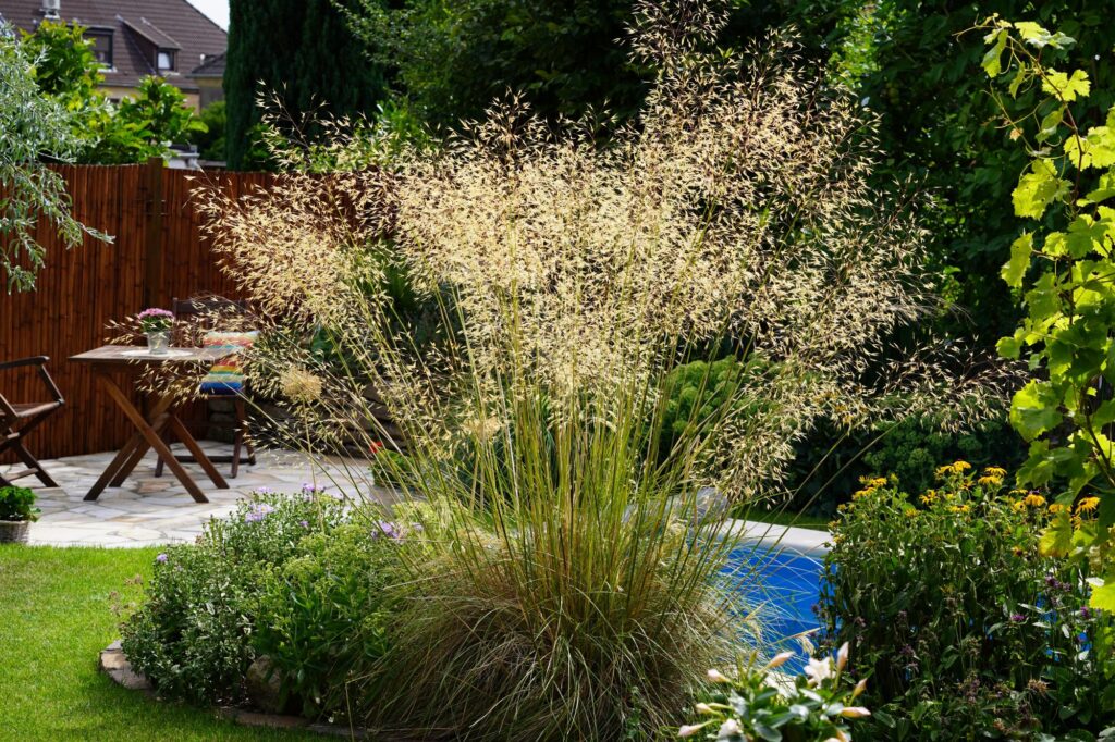 Eine liebevoll gestaltete Gartenanlage mit hoher Ziergras-Bepflanzung und üppigen, grünen Pflanzen als Beispiel für professionelle Gartenplanung und individuelles Bepflanzungskonzept. Im Hintergrund Sitzbereich auf Terrasse vor Holzsichtschutz - ideal als Inspiration für die Online Gartenberatung oder einen bepflanzungsplan Garten in Bocholt, Kreis Borken oder Münsterland.