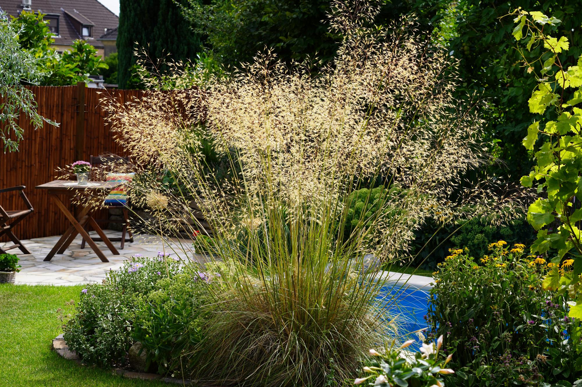 Eine liebevoll gestaltete Gartenanlage mit hoher Ziergras-Bepflanzung und üppigen, grünen Pflanzen als Beispiel für professionelle Gartenplanung und individuelles Bepflanzungskonzept. Im Hintergrund Sitzbereich auf Terrasse vor Holzsichtschutz - ideal als Inspiration für die Online Gartenberatung oder einen bepflanzungsplan Garten in Bocholt, Kreis Borken oder Münsterland.