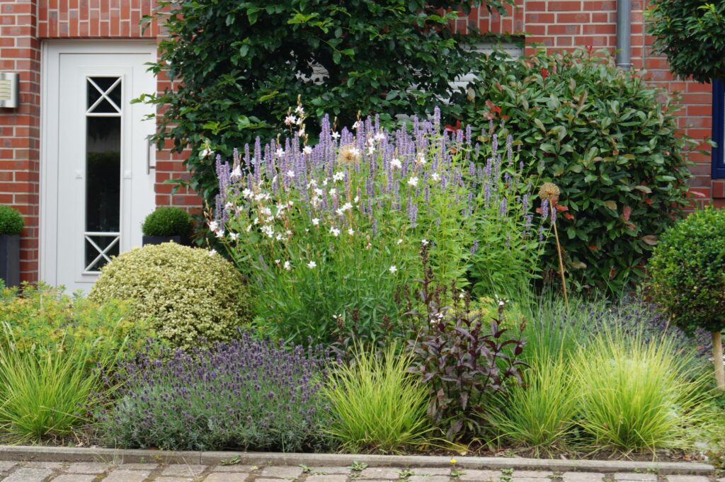 Ein liebevoll gepflegter Garten mit vielfältigen grünen Sträuchern, farbenfroher Bepflanzung und lila Blüten schmückt den Bereich vor einem modernen roten Backsteinhaus - ein gelungenes Beispiel für professionelle Gartenplanung im Münsterland.